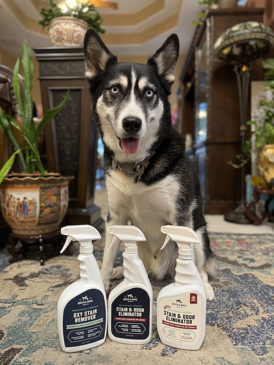 cleaning supplies for pets-1
