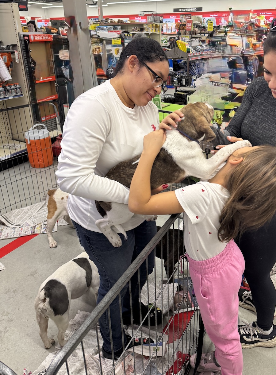 volunteer holding puppy at event