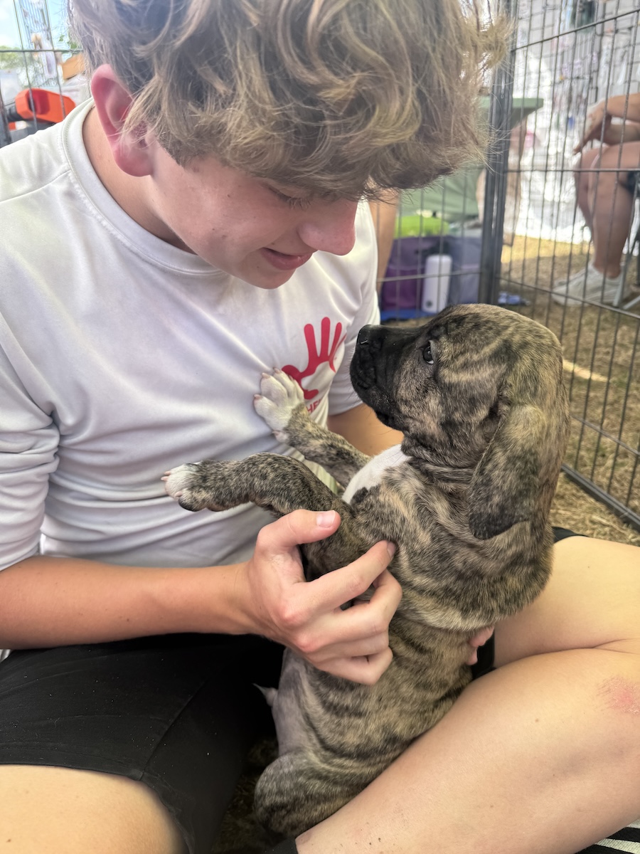 volunteering pet adoption_boy with puppy